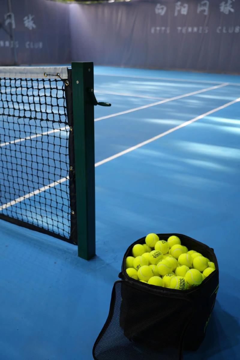 转向合规能 转向合规能